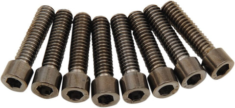 Bolt Kit M8 Lifter B/C S DRAG SPECIALTIES DRAG SPECIALTIES MOTOVEIKALS 21