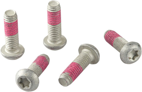 Brake Rotor Bolts TRW TRW MOTOVEIKALS 21