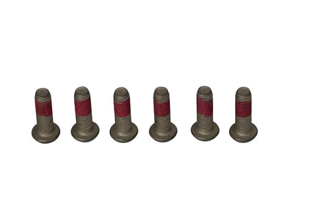 Brake Rotor Bolts TRW TRW MOTOVEIKALS 21