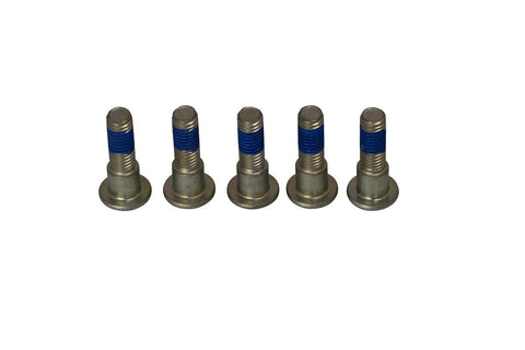 Brake Rotor Bolts TRW TRW MOTOVEIKALS 21