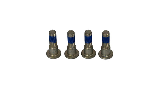 Brake Rotor Bolts TRW TRW MOTOVEIKALS 21