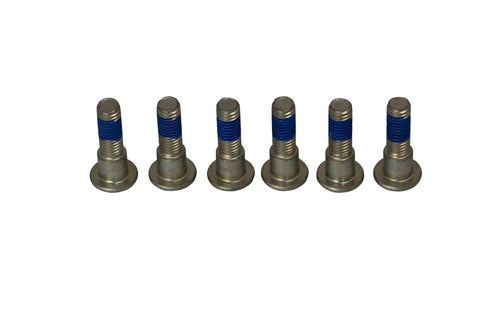 Brake Rotor Bolts TRW TRW MOTOVEIKALS 21
