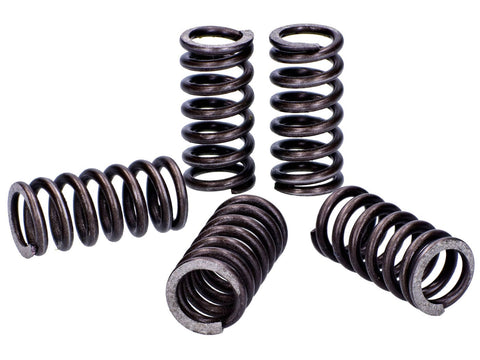 clutch springs Malossi reinforced for Derbi EBE, EBS, D50B MALOSSI MOTOVEIKALS 21