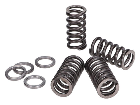clutch springs Polini reinforced for Minarelli AM4, AM5, AM6 POLINI MOTOVEIKALS 21
