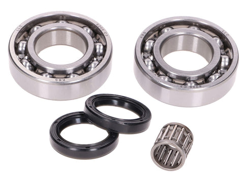 crankshaft bearing set w/ shaft seals for Rotax 122, 123 OEM STANDARD MOTOVEIKALS 21