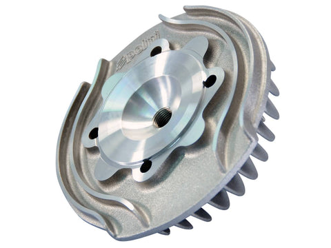 cylinder head Polini Evolution for Vespa Primavera 125 2T, Primavera 125 ET3 2T POLINI MOTOVEIKALS 21
