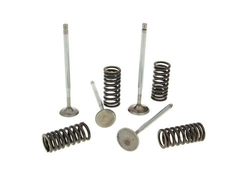 cylinder head valves Malossi racing with springs for Piaggio 4V LC engines MALOSSI MOTOVEIKALS 21