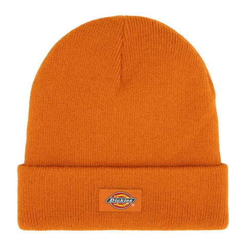 Dickies Gibsland beanie autumn maple DICKIES MOTOVEIKALS 21