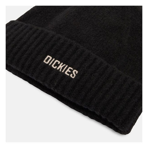Dickies Harlowtown beanie DICKIES MOTOVEIKALS 21