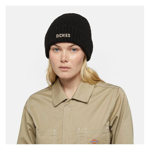 Dickies Harlowtown beanie DICKIES MOTOVEIKALS 21