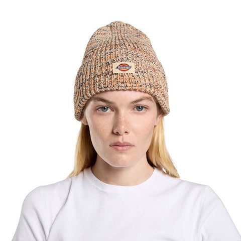 Dickies Lewistown beanie wood ash DICKIES MOTOVEIKALS 21