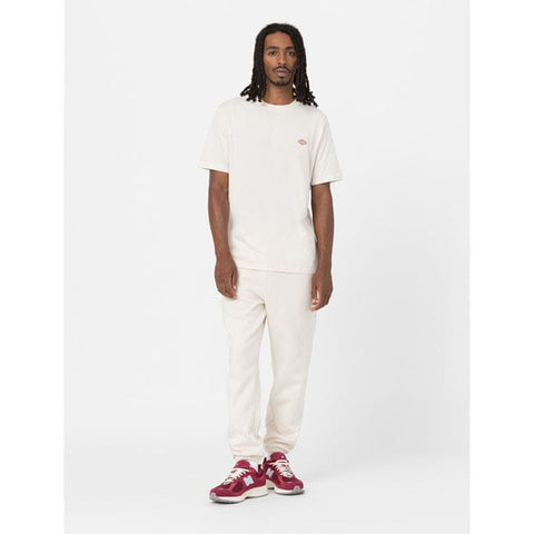 Dickies Mapleton t-shirt whitecap gray DICKIES MOTOVEIKALS 21