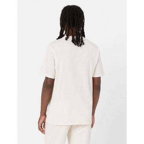 Dickies Mapleton t-shirt whitecap gray DICKIES MOTOVEIKALS 21