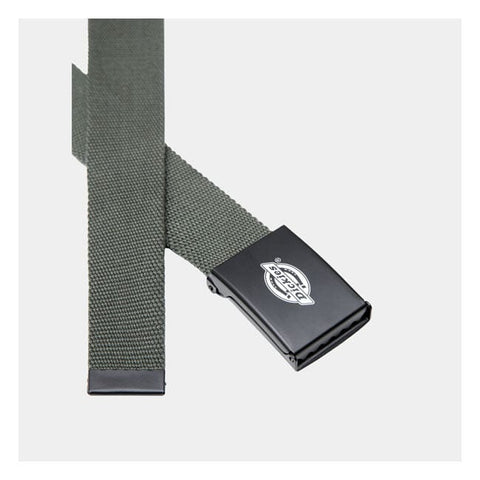 Dickies orcutt belt olive green DICKIES MOTOVEIKALS 21