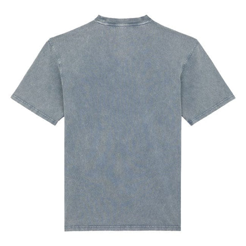 Dickies Plentywood t-shirt stormy weather DICKIES MOTOVEIKALS 21