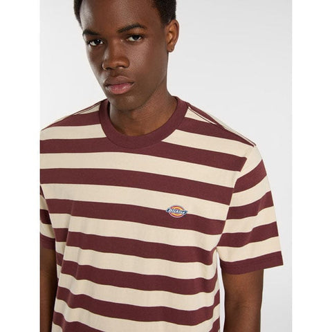Dickies Rivergrove t-shirt andorra DICKIES MOTOVEIKALS 21