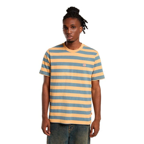 Dickies Rivergrove t-shirt oak buff DICKIES MOTOVEIKALS 21