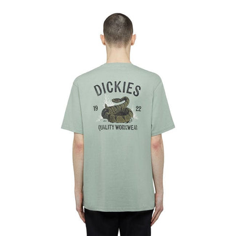 Dickies Snake t-shirt iceberg green DICKIES MOTOVEIKALS 21