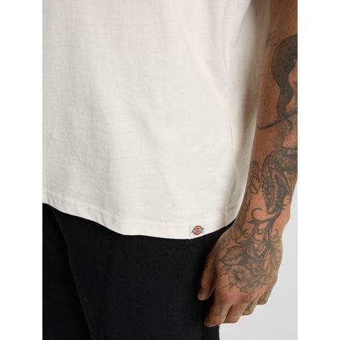 Dickies Sneedville t-shirt beige DICKIES MOTOVEIKALS 21