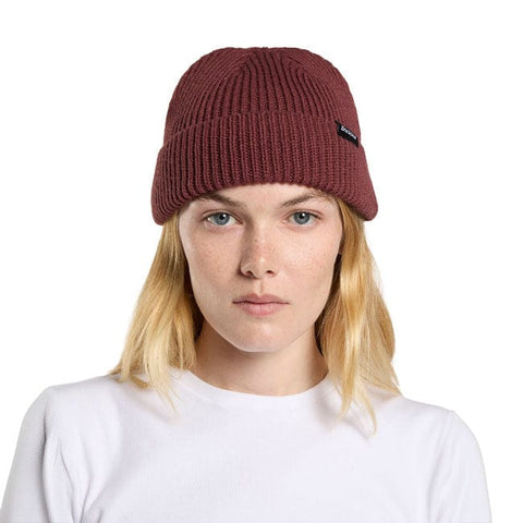 Dickies Woodworth beanie andorra DICKIES MOTOVEIKALS 21
