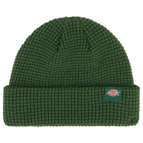 Dickies Woodworth beanie pine needle green DICKIES MOTOVEIKALS 21