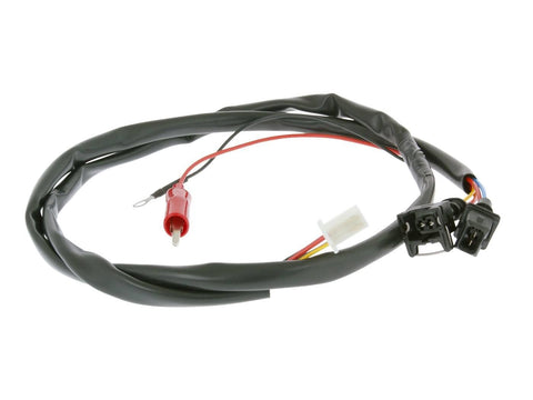 ECU cable set Polini for Piaggio, Vespa POLINI MOTOVEIKALS 21