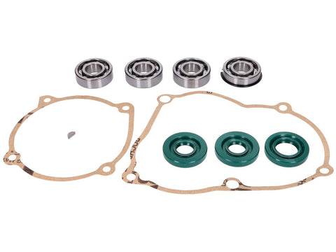 engine gasket and bearing set for Puch Maxi S, N, E50 (old type engine) OEM STANDARD MOTOVEIKALS 21