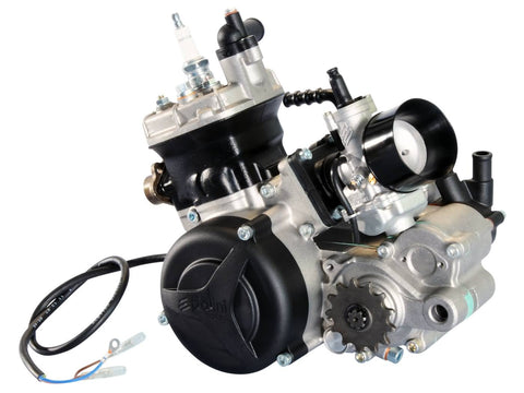 ENGINE L/C 1 SPEED POLINI MOTOVEIKALS 21