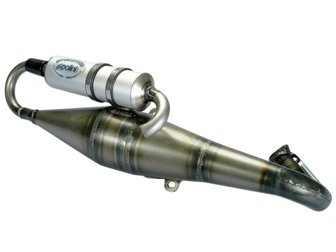 exhaust Polini racing Evolution 6 for Gilera DNA 50, Piaggio Extreme LC, MC2, MC3, NRG, NTT POLINI MOTOVEIKALS 21