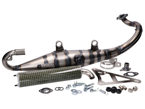 exhaust Yasuni Carrera 10 carbon look yellow for Peugeot horizontal, Kissbee 50, Ludix, Pure, Streetzone 50, Speedfight 4 YASUNI MOTOVEIKALS 21