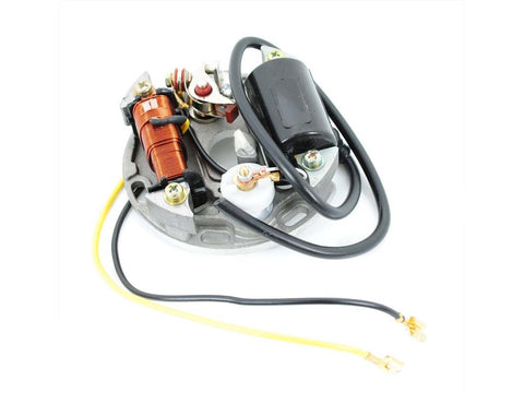Ignition base plate diameter 90mm mounting hole spacing 32/39/70mm 6 Volt 15 Watt for Puch Maxi S N moped moped DIVERSE / IMPORT MOTOVEIKALS 21