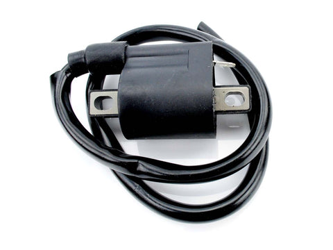 Ignition coil HPI for moped Mokick DIVERSE / IMPORT MOTOVEIKALS 21