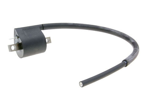 ignition coil Polini digital for Piaggio LC, Minarelli AC, LC, AM6, Derbi D50B0, EBE, EBS, Vespa 125 ET3 POLINI MOTOVEIKALS 21