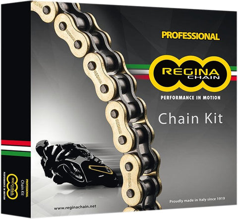 Kit Duc Mon 1100/ S 09-11 REGINA REGINA MOTOVEIKALS 21