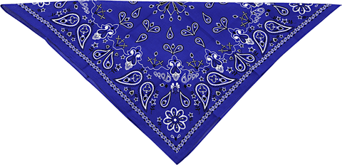Lakatiņš ZAN HEADGEAR paisley blue ZAN HEADGEAR MOTOVEIKALS 21