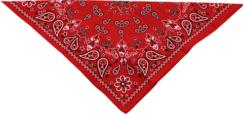 Lakatiņš ZAN HEADGEAR paisley red ZAN HEADGEAR MOTOVEIKALS 21
