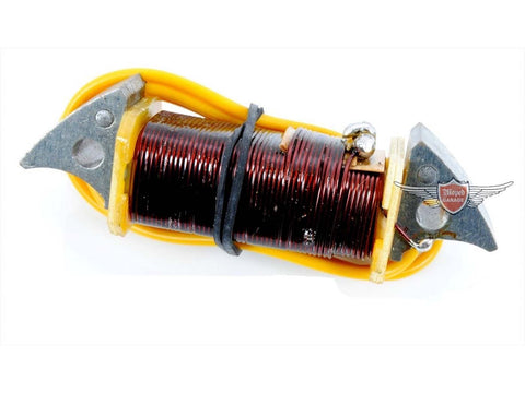 Light coil 17W for Bosch ignition for moped moped mokick DIVERSE / IMPORT MOTOVEIKALS 21