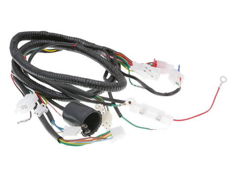 main wire / general wire harness for Jinlun Fighter 50 101 OCTANE MOTOVEIKALS 21