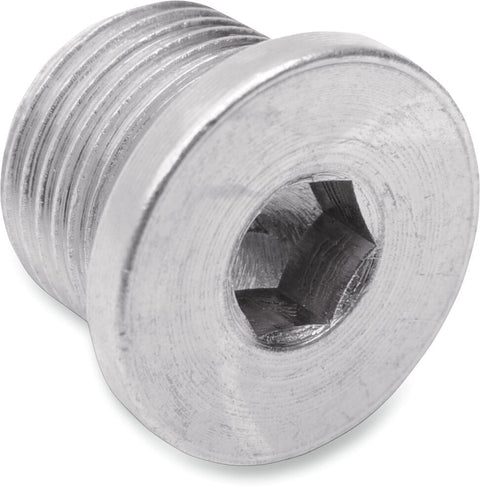 Plug 02 Sensor Bung 12Mm DRAG SPECIALTIES DRAG SPECIALTIES MOTOVEIKALS 21
