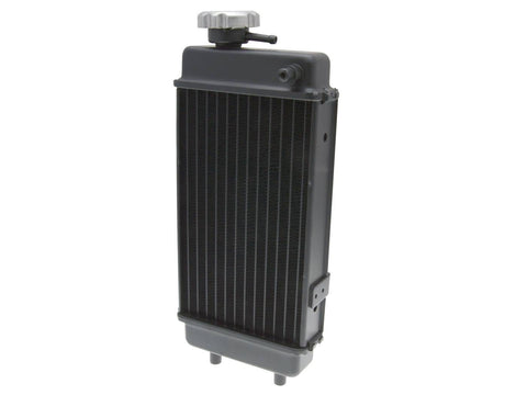 radiator / cooler OEM for Generic Trigger OEM STANDARD MOTOVEIKALS 21