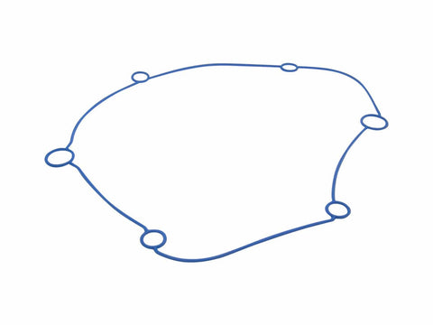 seal gear cover Polini Evolution Gear Box for Minarelli horizontal long POLINI MOTOVEIKALS 21