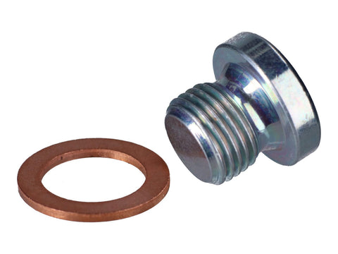 sealing plug Polini cylinder head for Minarelli horizontal LC POLINI MOTOVEIKALS 21