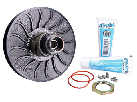 torque converter kit Polini Speed ??Drive Evolution for Piaggio POLINI MOTOVEIKALS 21