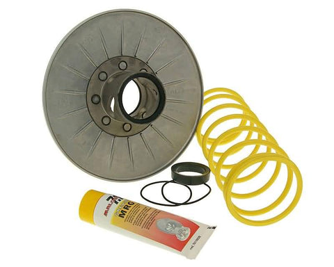 torque driver Malossi for Honda Foresight, Pantheon, Reflex, Forza, Jazz MALOSSI MOTOVEIKALS 21