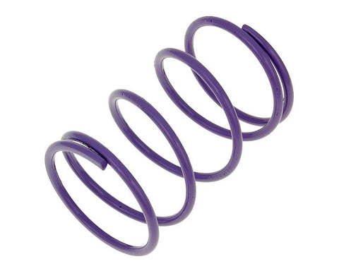 torque spring Malossi MHR purple +82% for Kymco, Honda, GY6, Piaggio MALOSSI MOTOVEIKALS 21