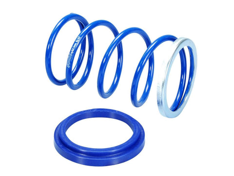 torque spring Polini Evo-Slider +10% for Yamaha Majesty, X-Max 400 POLINI MOTOVEIKALS 21