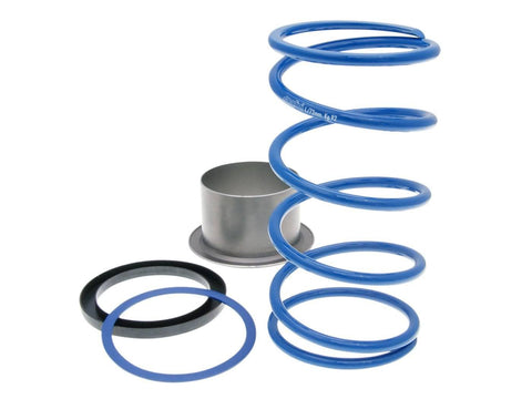 torque spring Polini Evo-Slider +17% for Gilera GP 800 POLINI MOTOVEIKALS 21