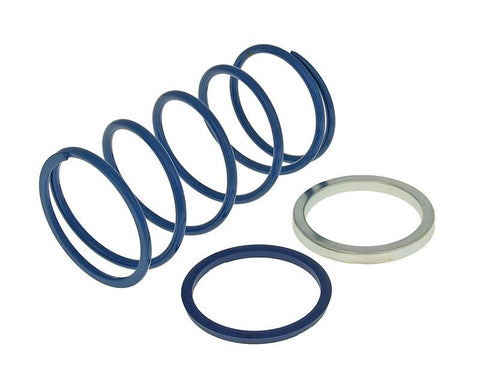 torque spring Polini Evo-Slider -18% for Piaggio POLINI MOTOVEIKALS 21