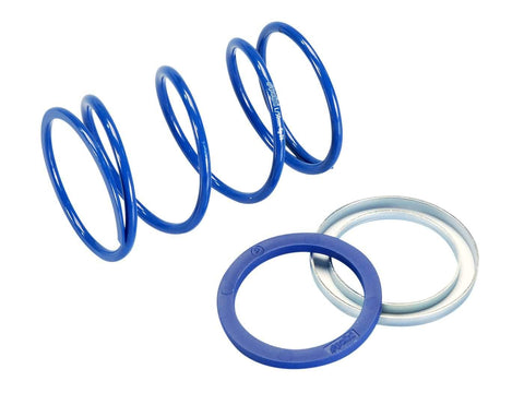 torque spring Polini Evo-Slider +28% for Piaggio POLINI MOTOVEIKALS 21