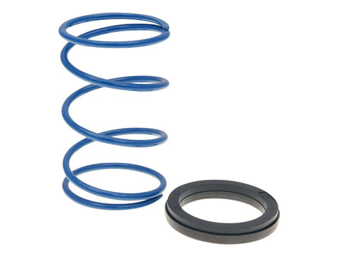 torque spring Polini Evo-Slider -30% for Piaggio POLINI MOTOVEIKALS 21